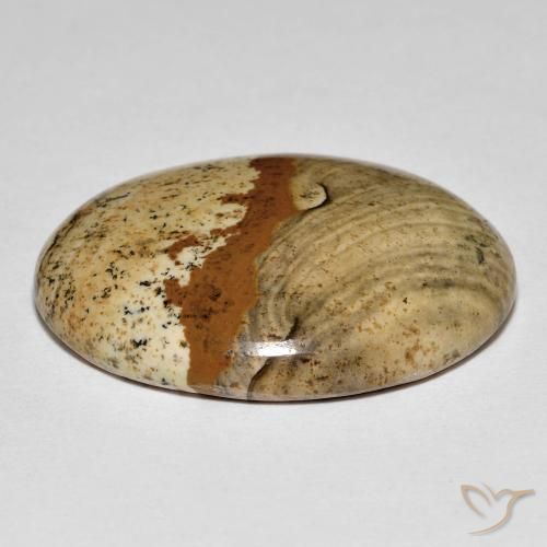 Jaspe Multicolorido Natural 26.64ct, oval, Opaco