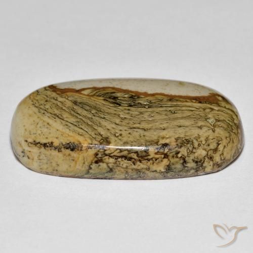Jaspe Multicolorido Natural 34.74ct, Almofada, Opaco