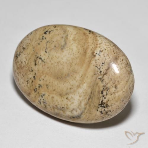 Jaspe Multicolorido Natural 31.50ct, oval, Opaco