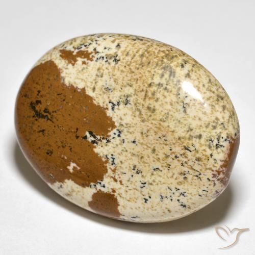 Jaspe Multicolorido Natural 35.50ct, oval, Opaco