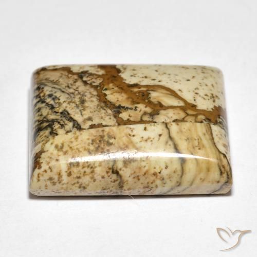Jaspe Multicolorido Natural 18.09ct, Quadrado, Opaco