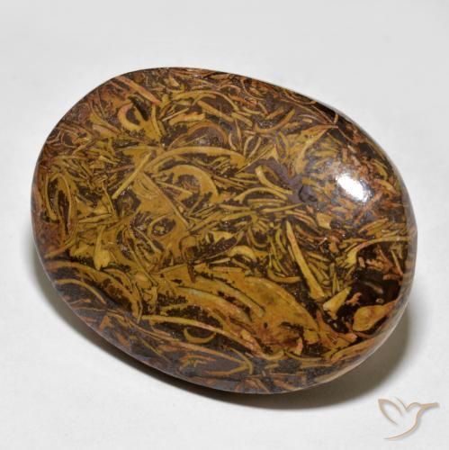 62.43ct Natural Multicolorido Jaspe, oval, Opaco