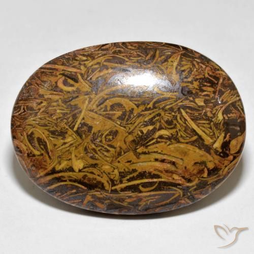 Jaspe Multicolorido Natural 62.43ct, oval, Opaco