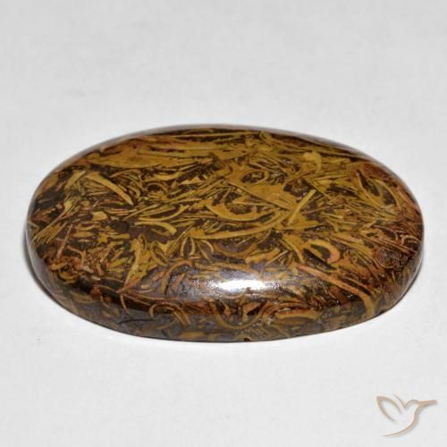 Jaspe Multicolorido Natural 62.43ct, oval, Opaco