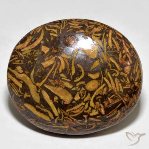 Jaspe Gingerbread Marrom Natural 58.00ct, oval, Opaco