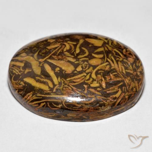 Jaspe Gingerbread Marrom Natural 58.00ct, oval, Opaco