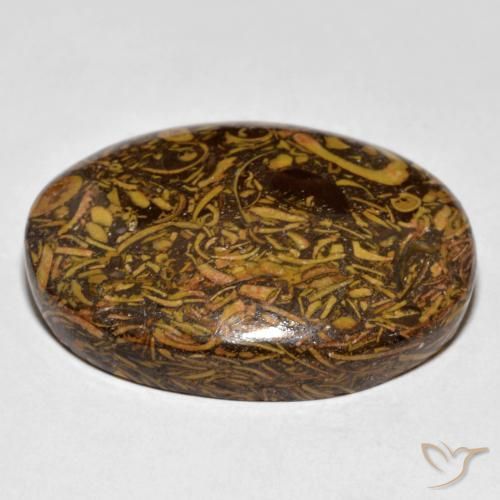 Jaspe Gingerbread Marrom Natural 61.03ct, oval, Opaco