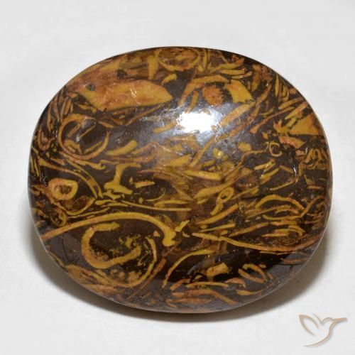 57.64ct Natural Castanho médio-escuro Jaspe, oval, Opaco