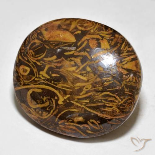 Jaspe Castanho médio-escuro Natural 57.64ct, oval, Opaco