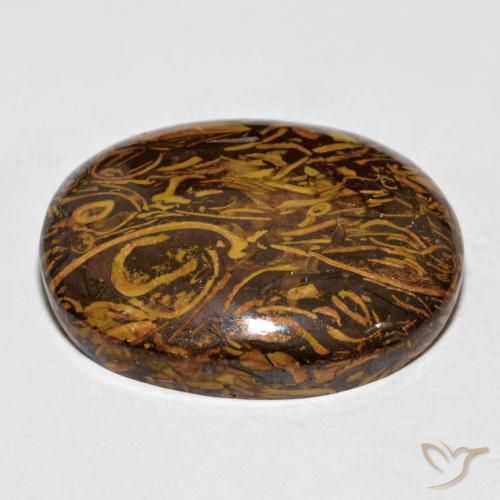 Jaspe Castanho médio-escuro Natural 57.64ct, oval, Opaco