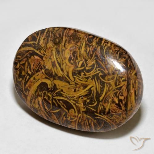 Jaspe Marrom dourado Natural 59.94ct, oval, Opaco