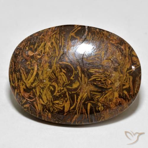Jaspe Marrom dourado Natural 63.72ct, oval, Opaco