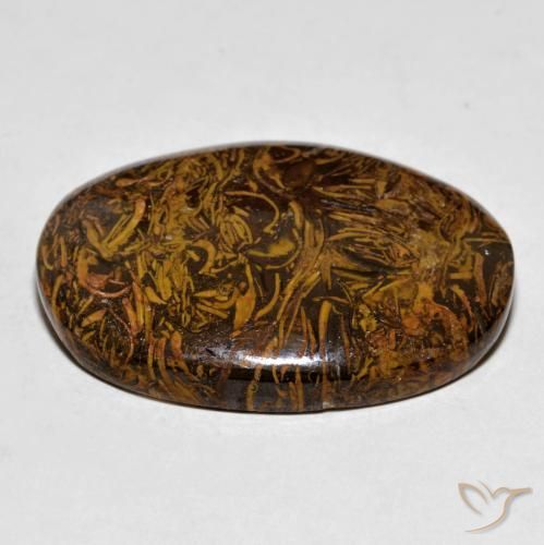 Jaspe Marrom dourado Natural 63.72ct, oval, Opaco