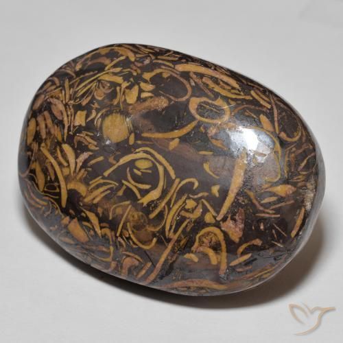 Jaspe Multicolorido Natural 75.13ct, oval, Opaco
