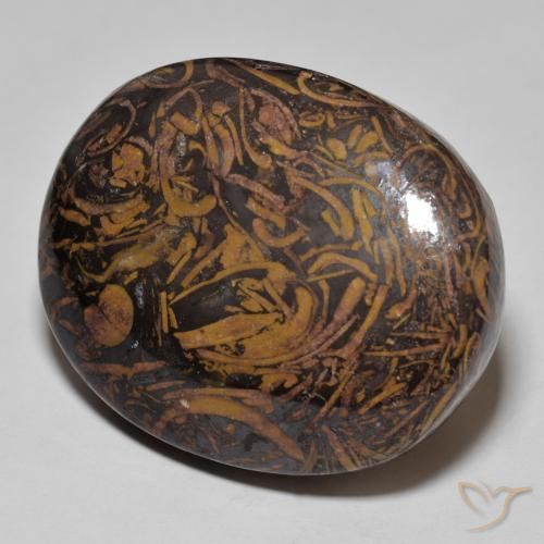 Jaspe Multicolorido Natural 62.01ct, oval, Opaco