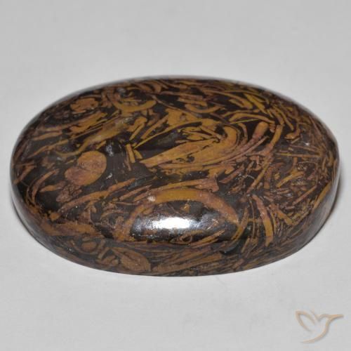 Jaspe Multicolorido Natural 62.01ct, oval, Opaco