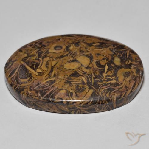 Jaspe Multicolorido Natural 58.13ct, oval, Opaco