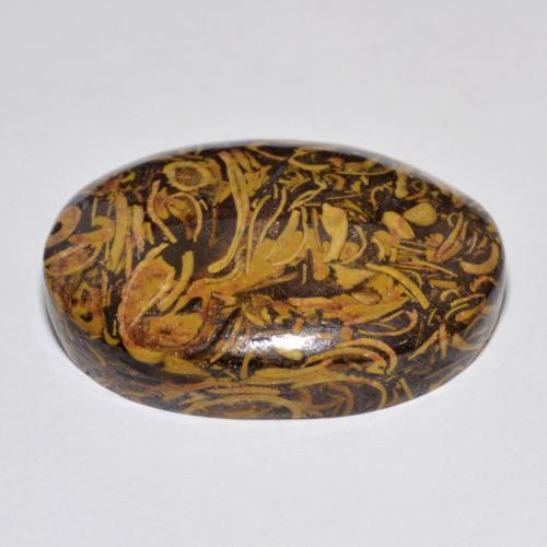 Jaspe multicolorido natural 37,59ct, corte oval, opaco