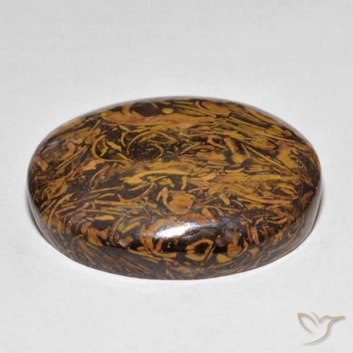 Jaspe Multicolorido Natural 48.67ct, oval, Opaco