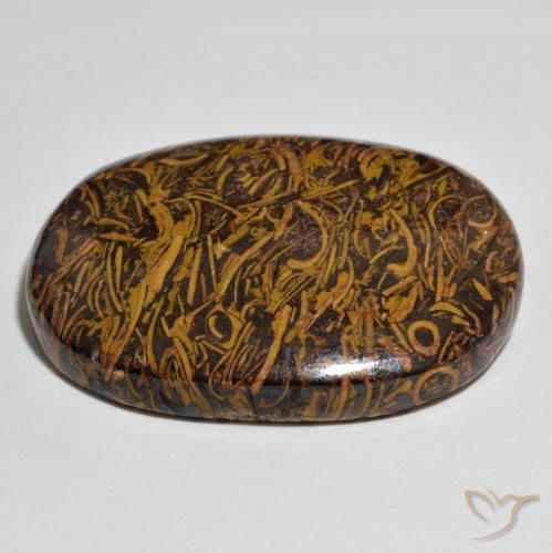 Jaspe Multicolorido Natural 60.90ct, oval, Opaco