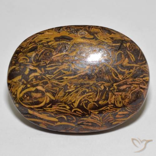 76.80ct Natural Multicolorido Jaspe, oval, Opaco
