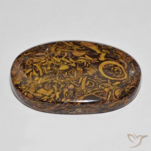 Jaspe Multicolorido Natural 78.76ct, oval, Opaco