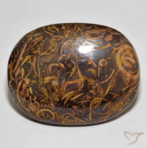 61.30ct Natural Multicolorido Jaspe, oval, Opaco