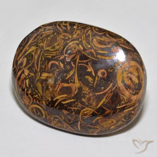 Jaspe Multicolorido Natural 61.30ct, oval, Opaco