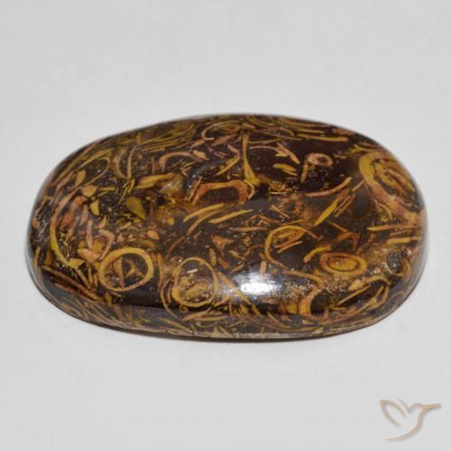 Jaspe Multicolorido Natural 61.30ct, oval, Opaco