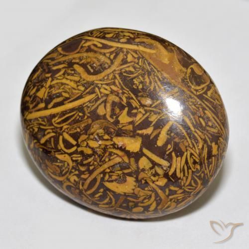 Jaspe Multicolorido Natural 66.56ct, oval, Opaco