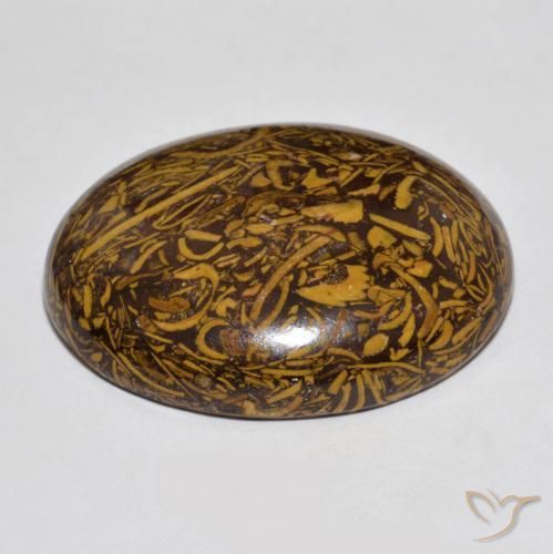 Jaspe Multicolorido Natural 66.56ct, oval, Opaco