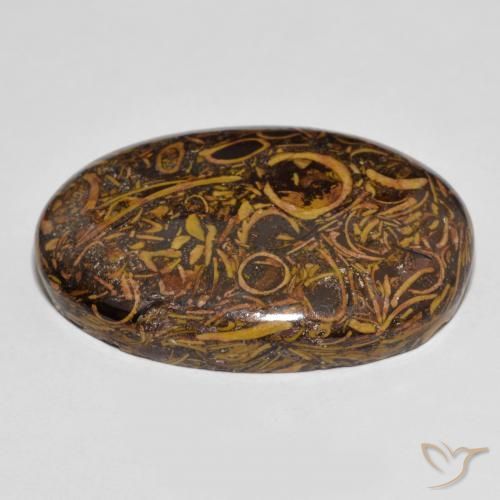 Jaspe Multicolorido Natural 63.83ct, oval, Opaco