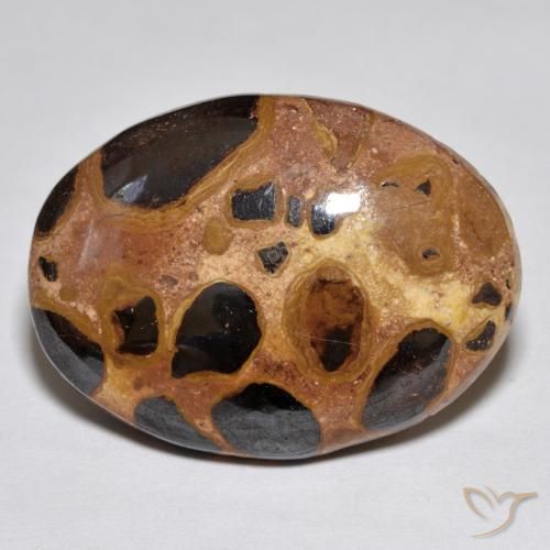 17.02ct Natural Multicolorido Jaspe, oval, Opaco