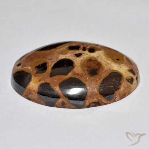 Jaspe Multicolorido Natural 17.02ct, oval, Opaco
