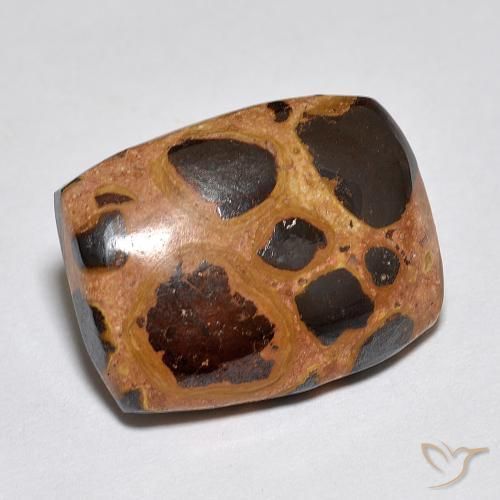 Jaspe Multicolorido Natural 9.85ct, Almofada, Opaco