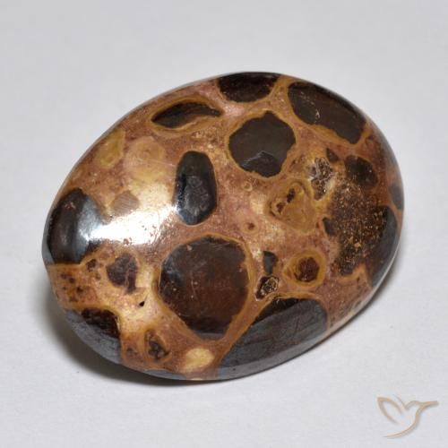 Jaspe Multicolorido Natural 15.52ct, oval, Opaco