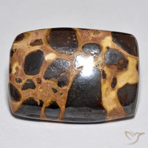 21.42ct Natural Multicolorido Jaspe, Almofada, Opaco