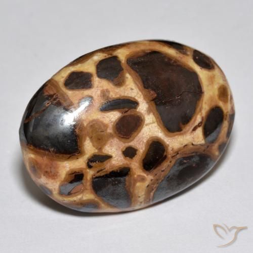 Jaspe Multicolorido Natural 17.21ct, oval, Opaco
