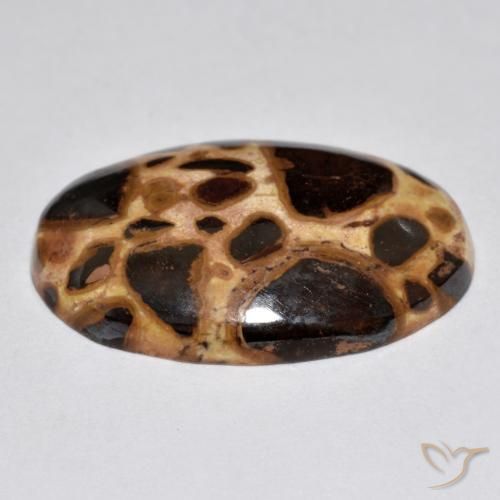Jaspe Multicolorido Natural 17.21ct, oval, Opaco