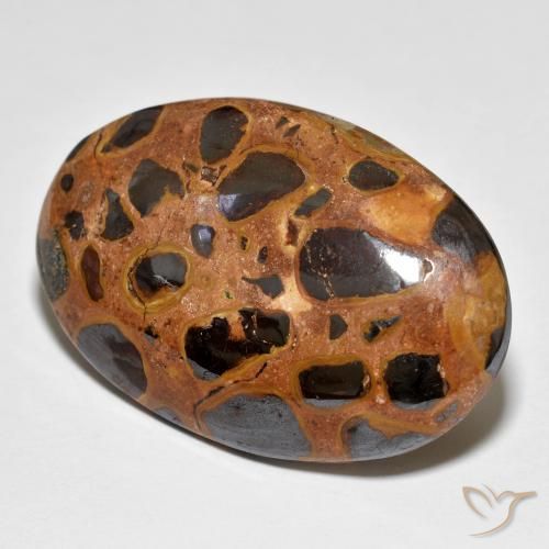 Jaspe Multicolorido Natural 23.58ct, oval, Opaco
