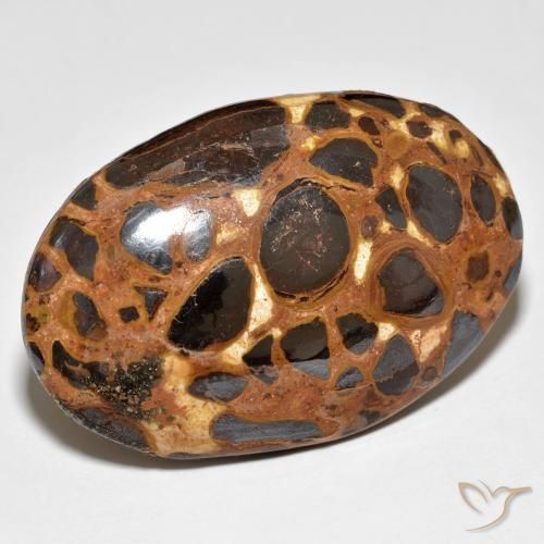 Jaspe Multicolorido Natural 24.47ct, oval, Opaco