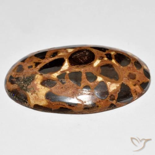 Jaspe Multicolorido Natural 24.47ct, oval, Opaco