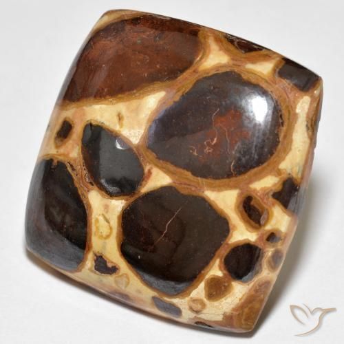 Jaspe Multicolorido Natural 27.48ct, Almofada, Opaco