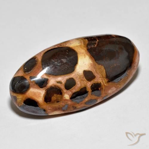 Jaspe Multicolorido Natural 19.60ct, oval, Opaco