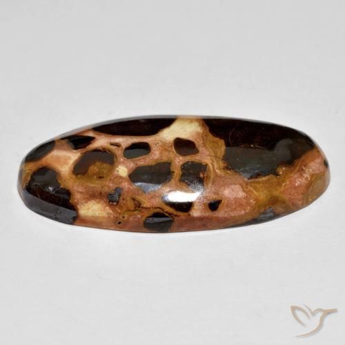 Jaspe Multicolorido Natural 19.60ct, oval, Opaco