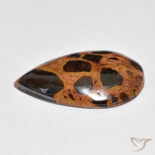 Jaspe Multicolorido Natural 8.18ct, Formato de pêra, Opaco