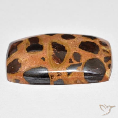 Jaspe Multicolorido Natural 19.75ct, Almofada, Opaco