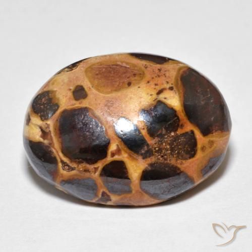 Pedra preciosa de jaspe multicolorido de 14,82 quilates para venda, oval Jaspe solto da Indonésia, Gema natural não tratada, 21 x 15,5 mm, Photo A