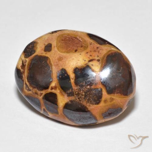 Jaspe Multicolorido Natural 14.82ct, oval, Opaco