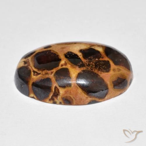 Jaspe Multicolorido Natural 14.82ct, oval, Opaco